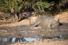 South African Adventure June 2014 (370 of 383).jpg