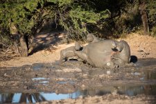 South African Adventure June 2014 (371 of 383).jpg