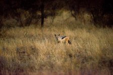 South African Adventure June 2014 (382 of 383).jpg