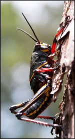 DSC_7169.jpg