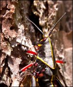 DSC_7168.jpg