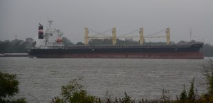DSC_2676-2.JPG