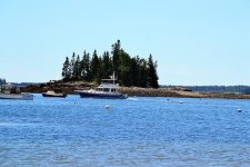 DSC_3896.jpg