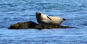 DSC_3915.JPG