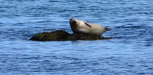 DSC_3921.JPG