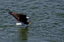 DSC_3108-2 (2000x1325).jpg