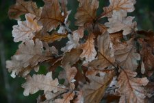 DSC_3318.jpg
