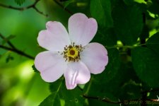 DSC_9734.jpg