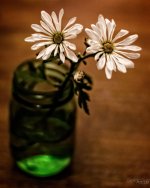 Day174-2.jpg