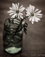 Day174-3.jpg
