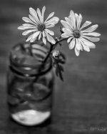 Day174-4.jpg