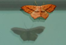DSC_7058_edited-6.jpg
