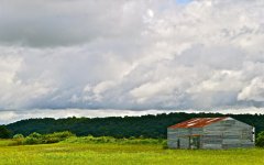 DSC_0208.jpg