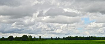 DSC_0212.jpg