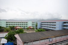 trinopp-1.jpg
