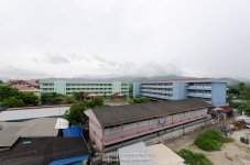trinopp1-1.jpg