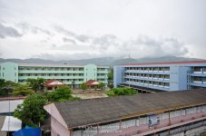 tripp-2.jpg