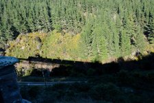 DSC_2864.jpg