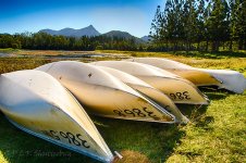 DSC_1772_HDR_webshot.jpg