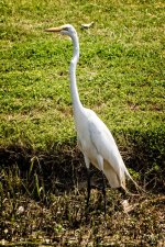 Day176-3.jpg