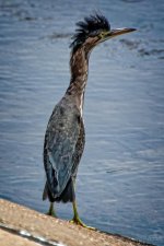 Day176-4.jpg