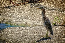 Day176-5.jpg
