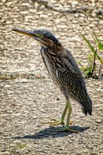 Day176-6.jpg