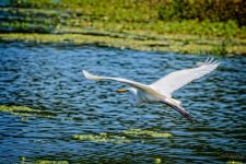 Day176-7.jpg