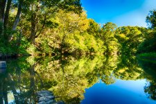 DSC_1861_HDR_webshot.jpg