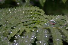 DSC_4300.jpg