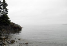 DSCN0765.jpg
