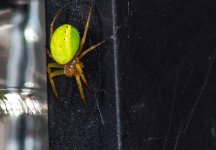 DSC_6996_edited-2.jpg