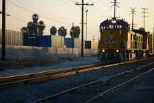 DSC_6019.JPG