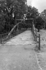DSC_8260_BW.jpg