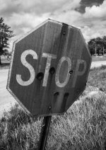DSC_8352BW.jpg
