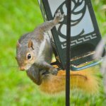 DSC_0179.jpg