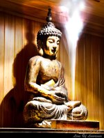 Budda LOL.jpg