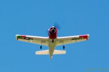 DSC_9781.jpg