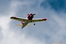 DSC_9791.jpg