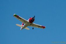 DSC_9794.jpg