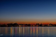D800 Bug Night 24-35 HD2c.jpg