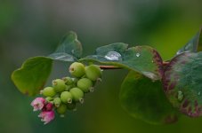 DSC_0763.jpg