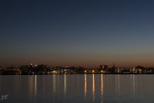 D800 Bug Night_044.jpg