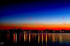 D800 Bug Night 24-35 HD2c.jpg