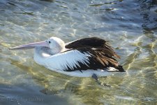 DSC_1924_webshot.jpg