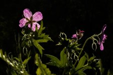 021-Edit-3.jpg
