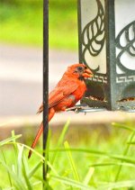 DSC_0289.jpg