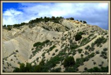 Nephi Canyon 2.jpg