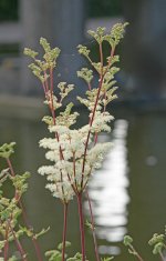 DSC_5099.jpg