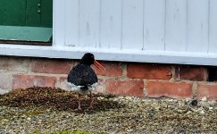 DSC_7209_edited-6.jpg